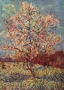 Vincent Van Gogh Bluhender Pfirsischbaum Sweden oil painting artist